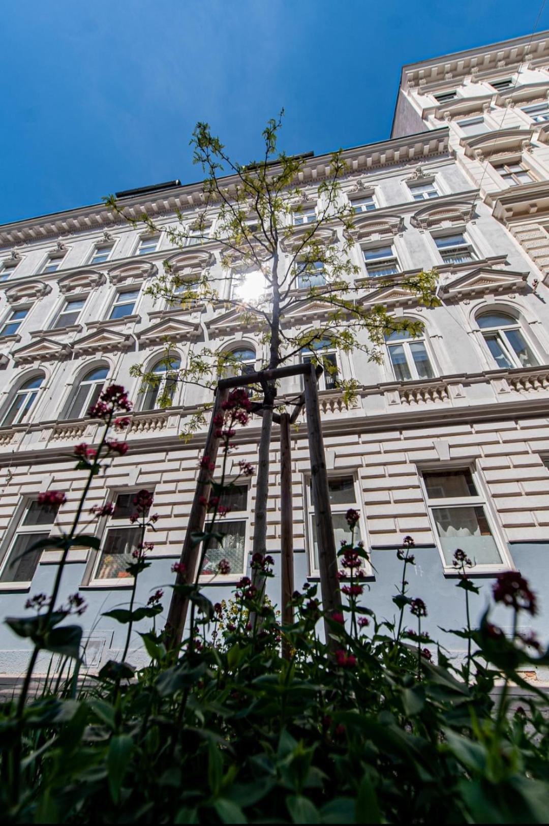 Apartment With Balcony Near Augarten 비엔나 외부 사진